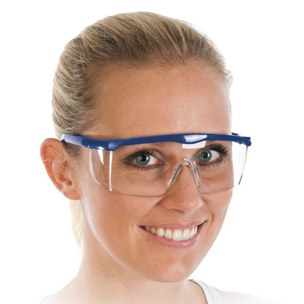 Allzweck-Schutzbrille, verstellbar, transparent, 1 Stk.