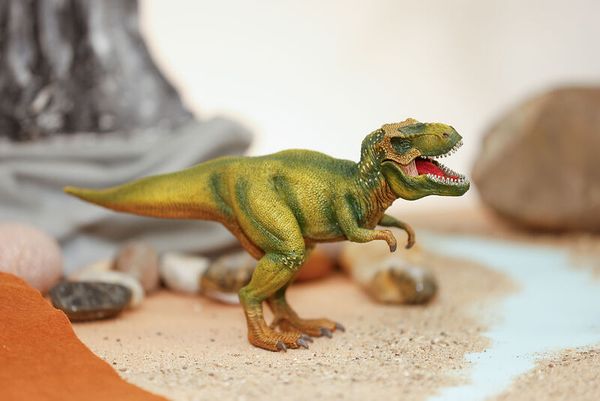 t-rex, dinosaur, toy, grün, plastik