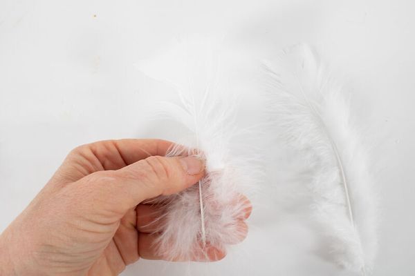 Feder, weiß, Feder, Hand, weich