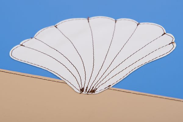 Schale, Schirmchen, Seashell, Muschel, Dekoration