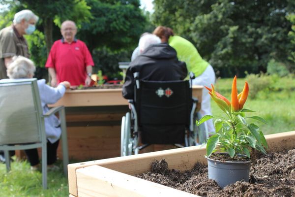 Hochbeet "Vis-á-Vis" - Rollibeet, beidseitig unterfahrbar, B: 120 cm, für 2 Personen Hochbeet "Vis-á-Vis" - Rollibeet, beidseitig unterfahrbar, B: 120 cm, für 2 Personen