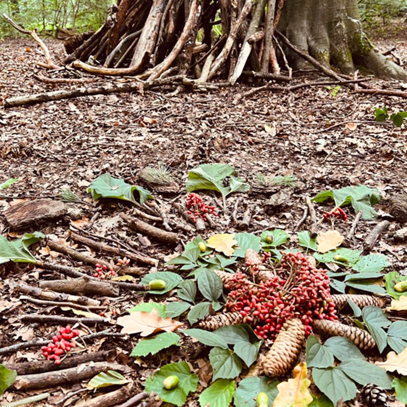 Naturraumpädagogik Naturraumpädagogik