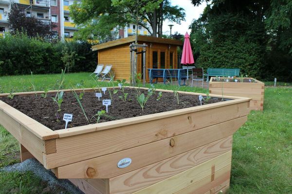 Hochbeet Quadro-Rollibeet, beidseitig unterfahrbar, B: 190 cm, für 4 Personen Hochbeet Quadro-Rollibeet, beidseitig unterfahrbar, B: 190 cm, für 4 Personen