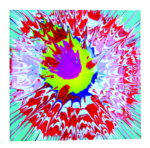 Farbschleuder Kunststoff, 36 cm Farbschleuder Kunststoff, 36 cm