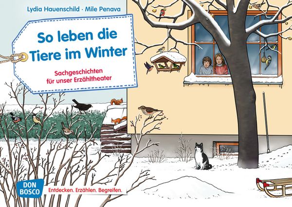 Winter, Katzen, Schnee, Vögel, Haus