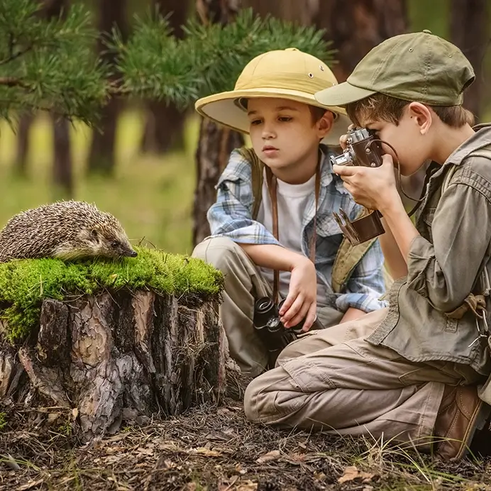 Kita-Projekte zum Thema heimische Wildtiere: Kinder fotografieren einen Igel