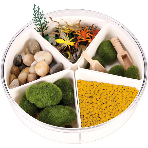 Sensorik-Kasten-Set "Insekten" Sensorik-Kasten-Set "Insekten"