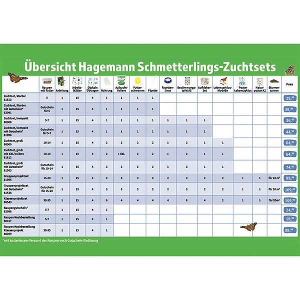 Zuchtset Schmetterlinge