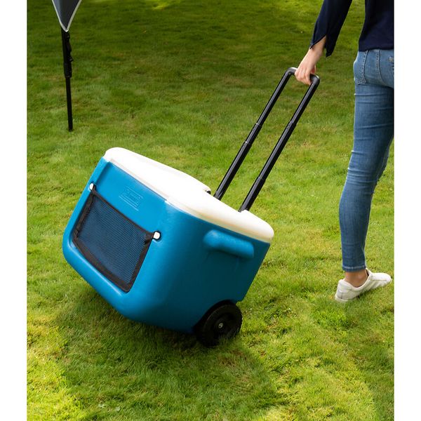 Kühlbox, Kühlbox mit Rollen, Tragbarer Kühlschrank, Grasfläche, Rollen
