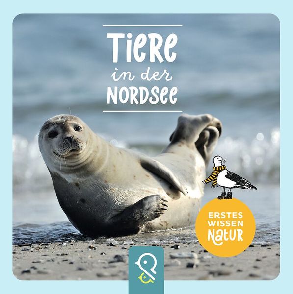 Seehund, Robbe, Seal, Nordsee, Natur