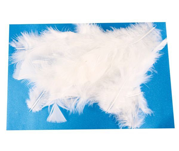 Weiße Federn (Länge: Ca. 12 cm), ca. 250 Stück Weiße Federn (Länge: Ca. 12 cm), ca. 250 Stück