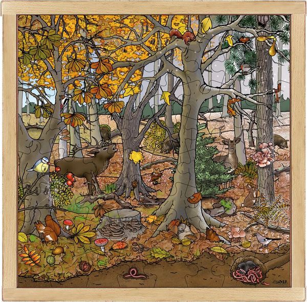 ROLF EDUCATION Rahmenpuzzle Wald Herbst-Winter, 64 Teile, ab 4 Jahre (SONDERANGEBOT)