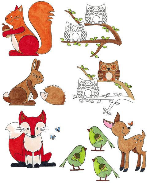 Tierische Illustration, Säugetiere, Vögel, Eulen, Waldtiere