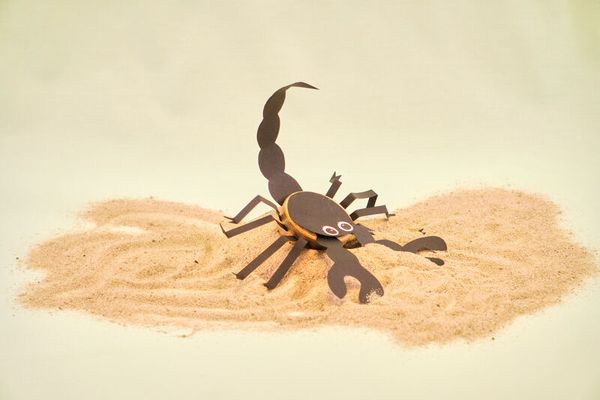 Skorpion, Sand, Papierschnitt, Krabbler, Arthropode