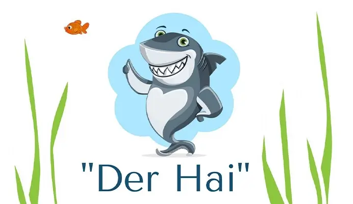 bildliche Darstellung eines Haies