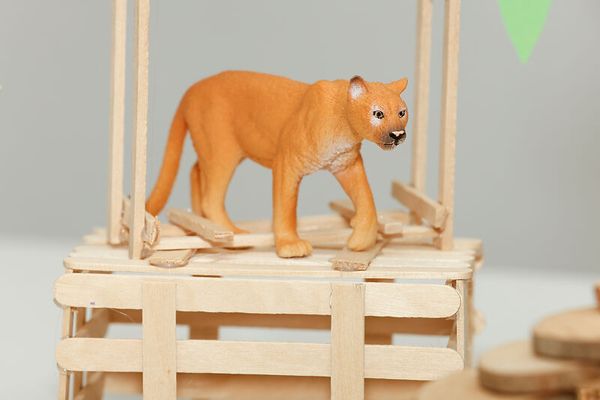 Schleich® Safari-Set, 12-teilig Schleich® Safari-Set, 12-teilig