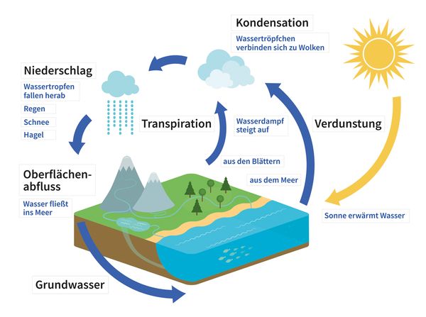 Kondensation, Verdunstung, Transpiration, Grundwasser, Oberflächenabfluss