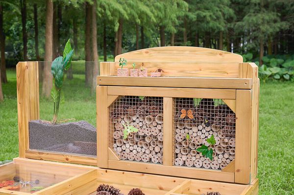 Insekten- und Pflanzenbeobachtungsstand