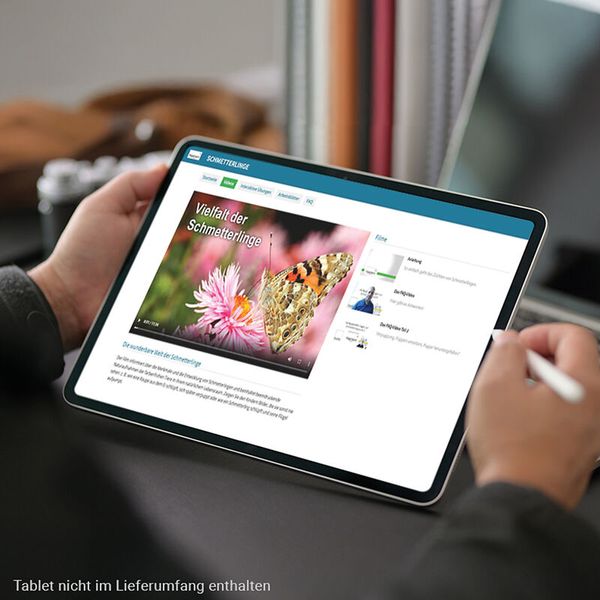 Zuchtset Schmetterlinge