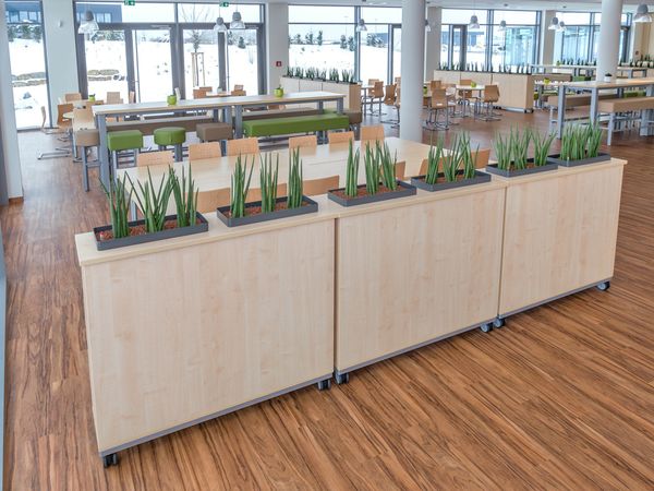 Büromöbel, grüne Pflanzen, Pflanzkübel, Holzschränke, industrielles Interieur