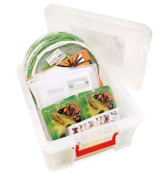 Bastelbox, Baukasten, Koffer, Insektenprojekt, Werkzeugset