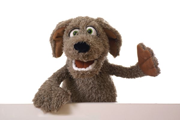 Plüschtier, Hund, braun, Fell, hand