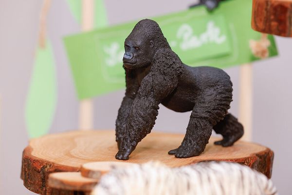 Schleich® Safari-Set, 12-teilig Schleich® Safari-Set, 12-teilig