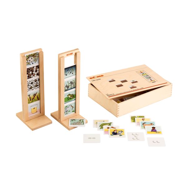 EDUCO Lebenszyklus Menschen, Tiere, Pflanzen, ab 4 Jahre EDUCO Lebenszyklus Menschen, Tiere, Pflanzen, ab 4 Jahre