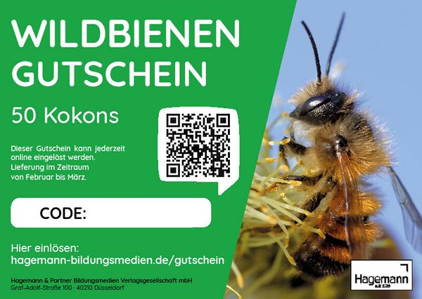 Zuchtset Wildbienen, 5-tlg.