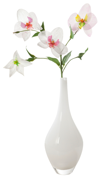 FOLIA Transparentpapier, weiß, DIN A4, 10 Blatt FOLIA Transparentpapier, weiß, DIN A4, 10 Blatt