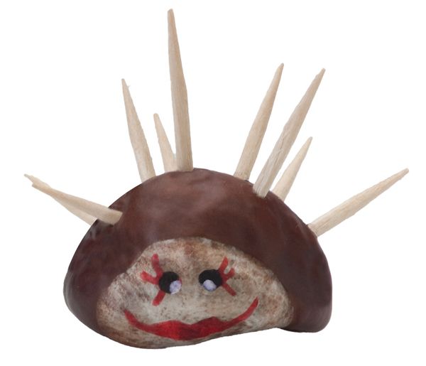 Kastanienhalter mit 2 Bohrern & 190 Zahnstochern Kastanienhalter mit 2 Bohrern & 190 Zahnstochern