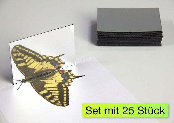 Geometrie-Handspiegel Klassensatz, 25-teiliges Set