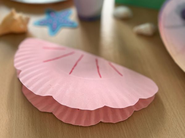 Pappteller rund, Ø 23 cm, 100 Stück