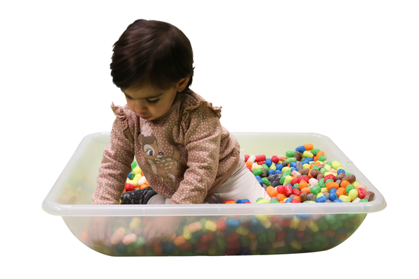 Multi-Wannen, 1 Stück, Transparent Multi-Wannen, 1 Stück, Transparent