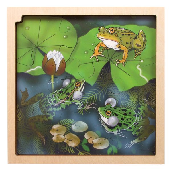 Frosch, Frösche, Teich, Laubblatt, Holzrahmen