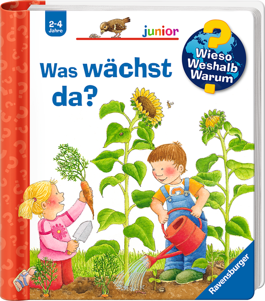 Kindergarten, Buch, Gärtnern, Pflanze, Kartonmappe