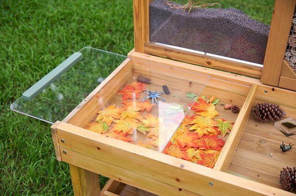 Insekten- und Pflanzenbeobachtungsstand