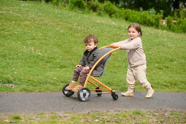 JAKOBS AKTIV Buggy mit schwenkbaren Hinterrädern