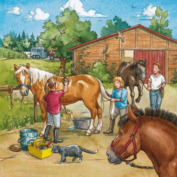 RAVENSBURGER Puzzle Mein Reiterhof, 3 x 49 Teile, ab 5 Jahre RAVENSBURGER Puzzle Mein Reiterhof, 3 x 49 Teile, ab 5 Jahre