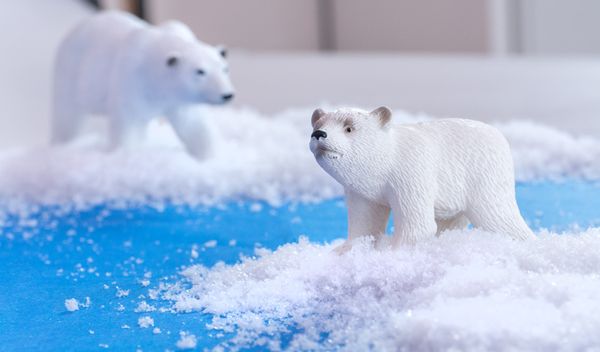 Schnee, Polarexpedition, Tiermodell, Eislandschaft, Polarfüller