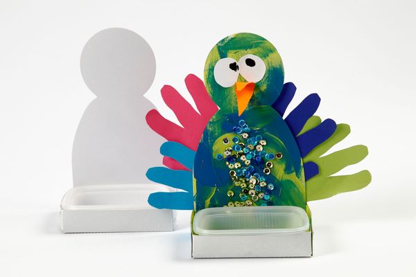 Kressetablett Körper, 6 Sets Kressetablett Körper, 6 Sets