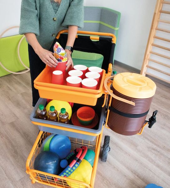 Transportwagen Multi-Flex-Trolley, Indoor und Outdoor