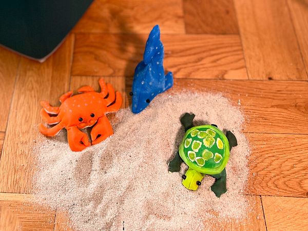 Sandtiere Meer zum Bemalen, 6 Stück