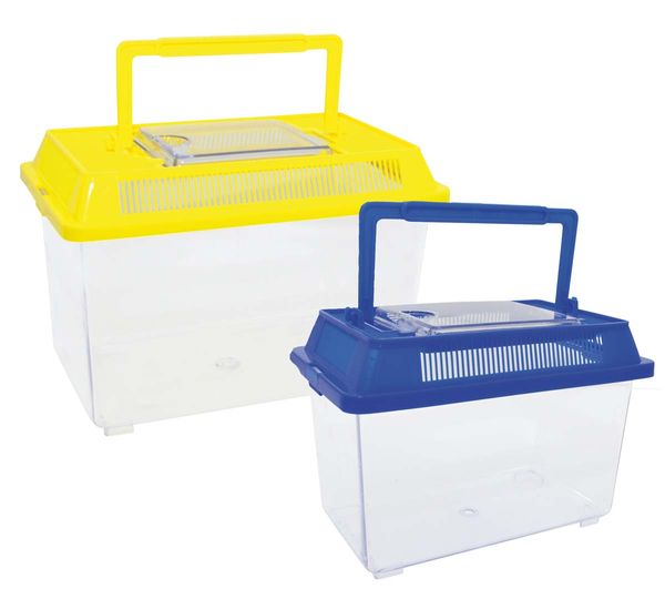 Kühlbox, Kühltasche, Aufbewahrungsbox, Tragegriff, Transparente Boxen