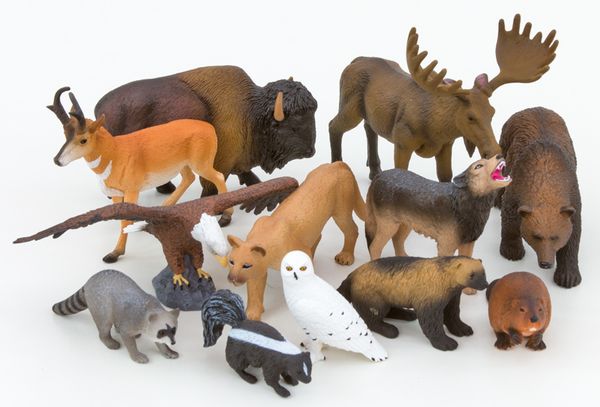 BETZOLD Nordamerikanische Tiere, 12-teiliges Set BETZOLD Nordamerikanische Tiere, 12-teiliges Set