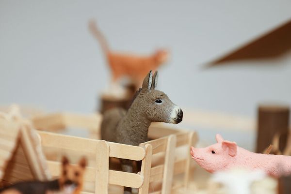 Schleich® Bauernhoftiere-Set, 9-teilig Schleich® Bauernhoftiere-Set, 9-teilig