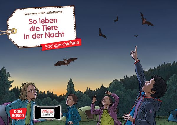 Kamishibai Bildkartenset - So leben die Tiere in der Nacht Kamishibai Bildkartenset - So leben die Tiere in der Nacht
