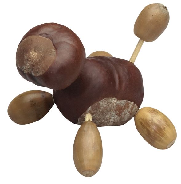 Kastanienhalter mit 2 Bohrern & 190 Zahnstochern Kastanienhalter mit 2 Bohrern & 190 Zahnstochern