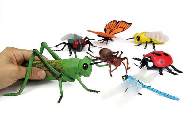 Insektenspielzeug, Kunststofffigur, Grashüpfer, Fluginstrument, Käferset