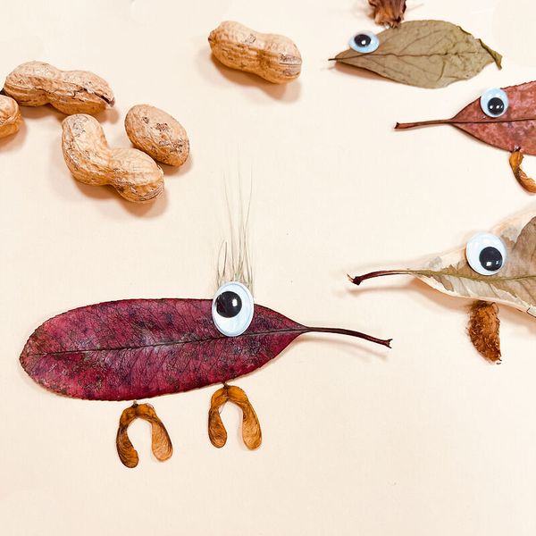 Wackelaugensortiment rund und oval, 5 - 20 mm, 560 Stück